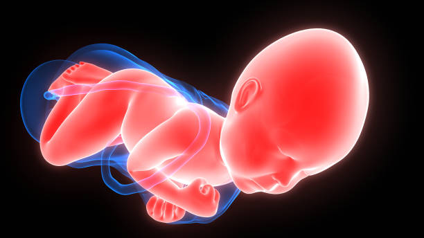 2025年泰国试管婴儿保胎费用知多少? 2025年泰国试管婴儿保胎费用知多少?