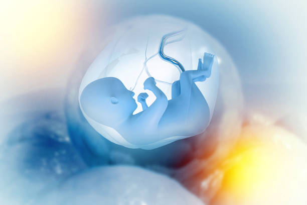 2025年泰国单身女性做试管婴儿需多少费用？