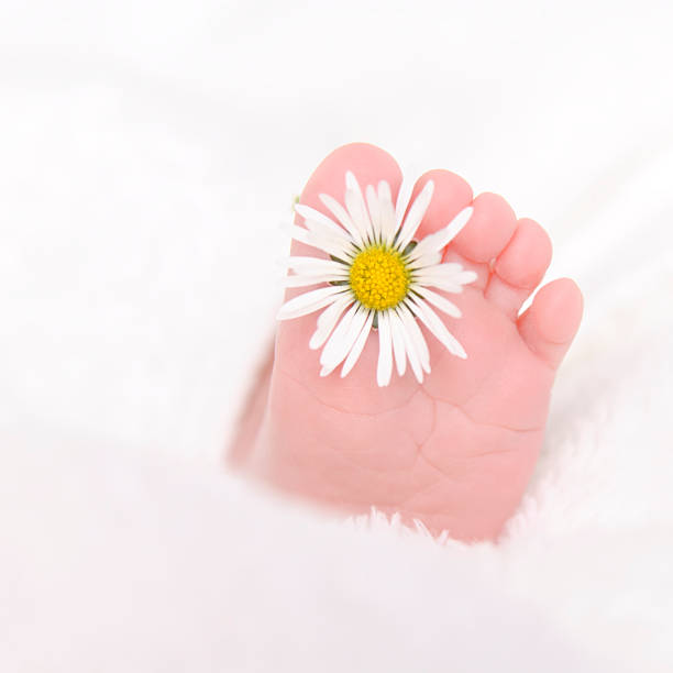 2025年泰国ek国际医院试管婴儿费用详情曝光 2025年泰国ek国际医院试管婴儿费用详情曝光