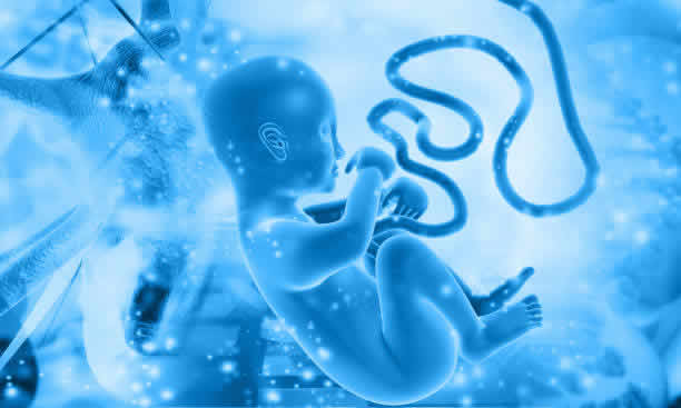 咨询恒健，获取2025年泰国试管婴儿费用详情