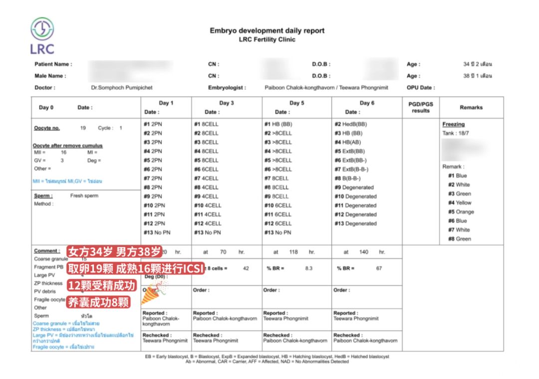 LRC养囊真实数据｜从取卵到养囊，成功率有多高？