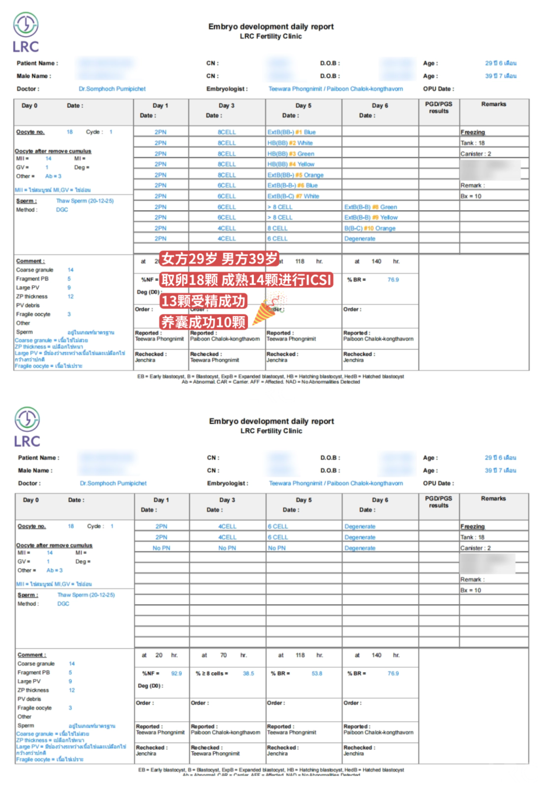 LRC养囊真实数据｜从取卵到养囊，成功率有多高？