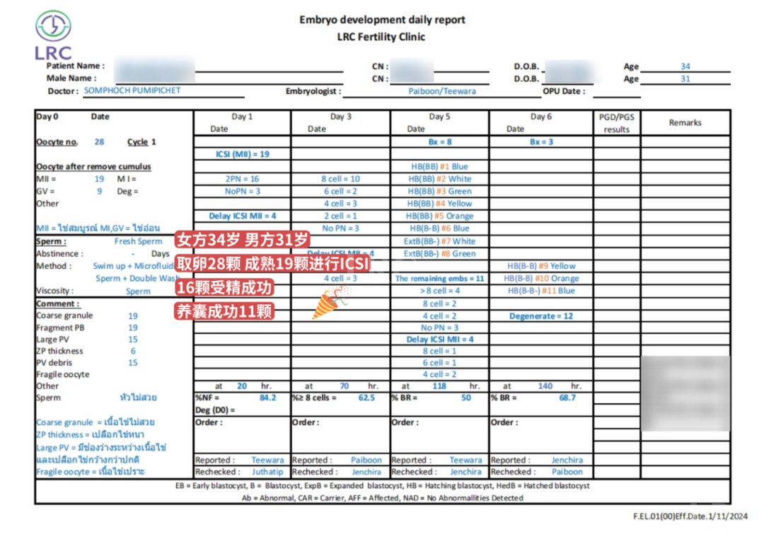 LRC养囊真实数据｜从取卵到养囊，成功率有多高？