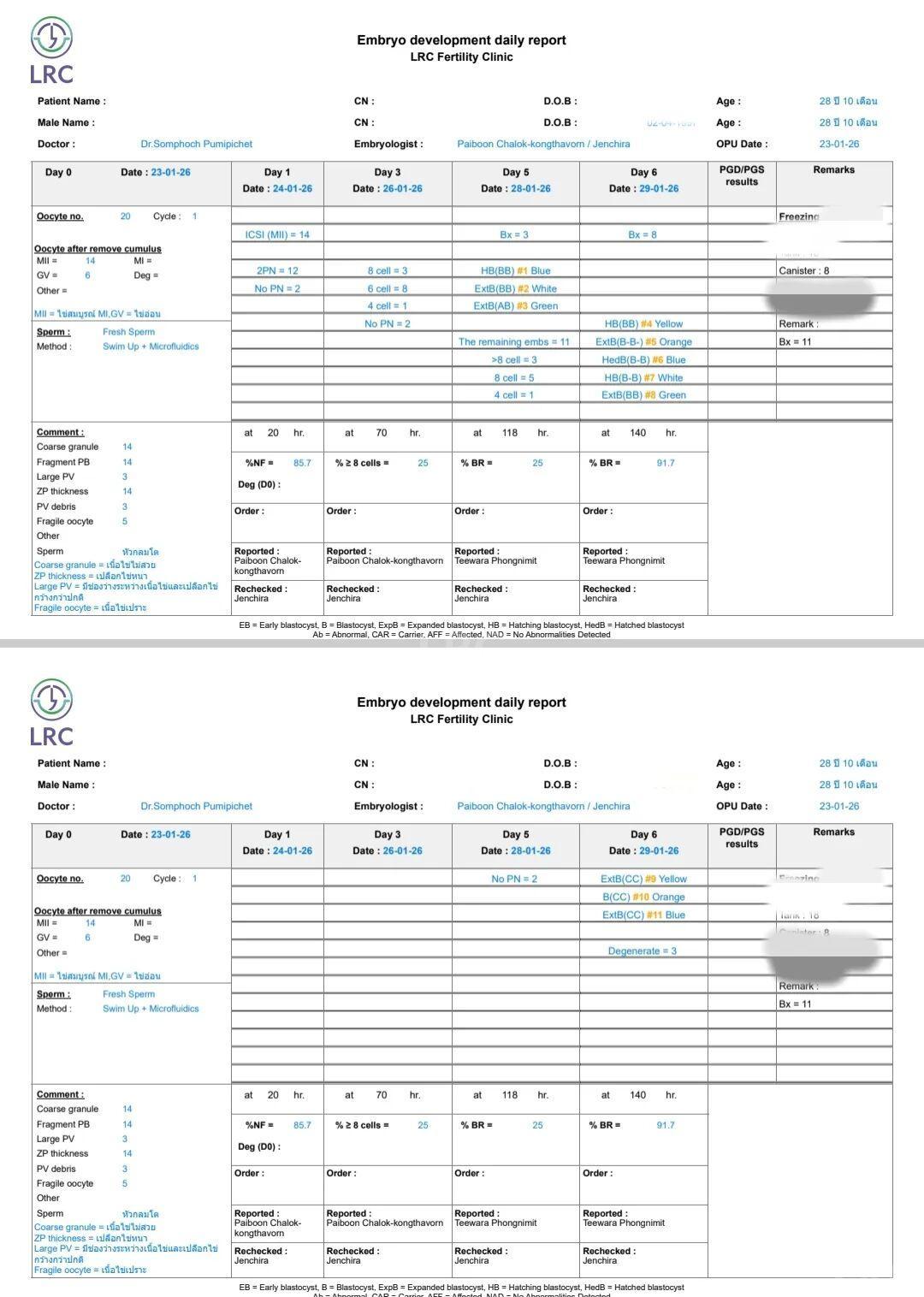 双侧巧囊+男方精子差?LRC个性化诊疗,取20卵成囊11颗,好孕破局~