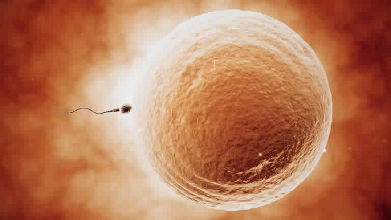 泰国试管婴儿全部费用大概需要多少钱？详细费用清单及预算指南！