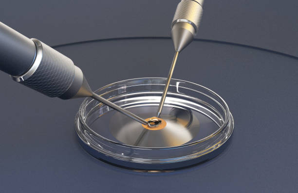 泰国试管婴儿有哪些流程