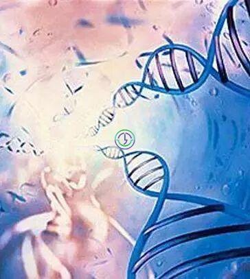 LRC配置国际高标准无尘实验室 ，提升试管成功率