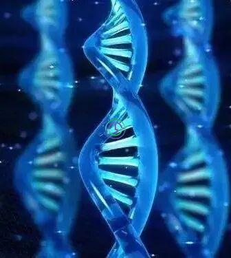 LRC配置国际高标准无尘实验室 ，提升试管成功率