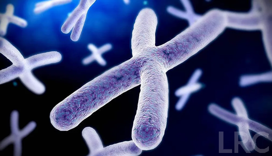 去泰国做试管冻卵大概需要准备多少钱？真实花费曝光！