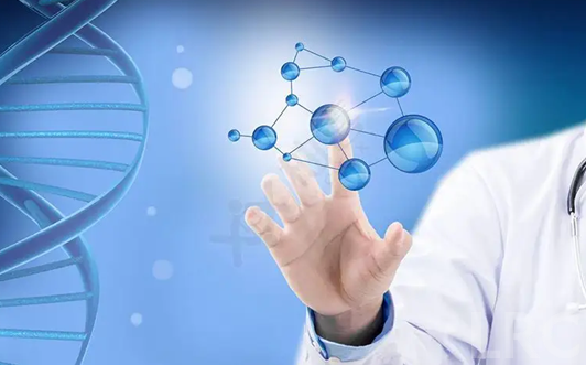 卵子质量差如何改善？LRC医生推荐的营养补充与作息调整清单