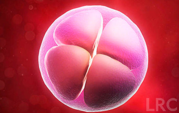 泰国冻卵手术费用一般需要多少钱?