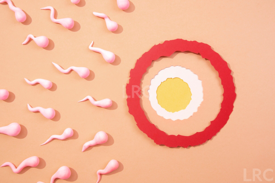 备孕无果的秘密：月经正常，排卵却可能是 “假的”！