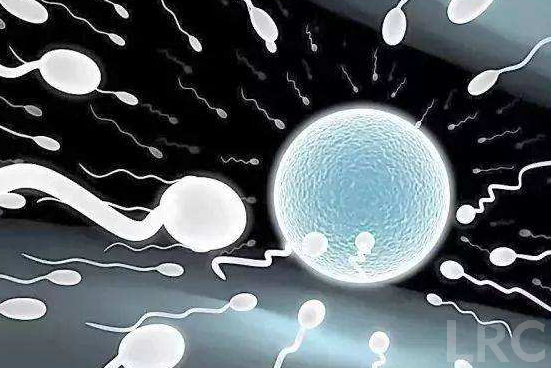 过了35岁想要二胎,在泰国LRC做试管还是冻卵?不同年龄段策略对比