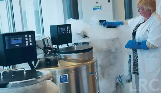 泰国第三代试管冻胚移植费用怎么算？