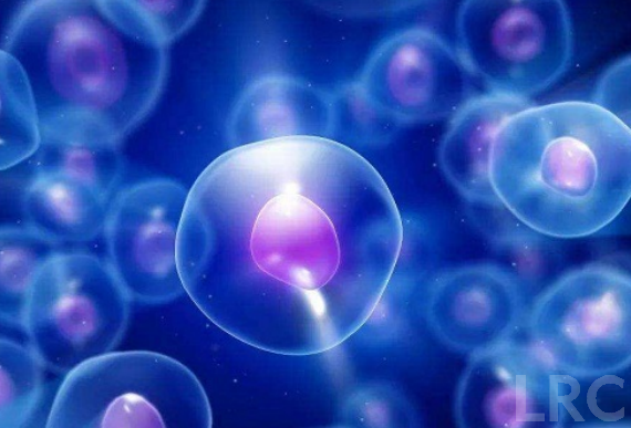 三代试管PGT-A筛查能把胚胎成功率提高多少？LRC临床妊娠率和活产率数据