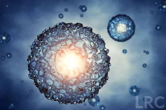 供卵试管在泰国LRC的整体成功率:高龄用户实现“翻盘”的关键数据