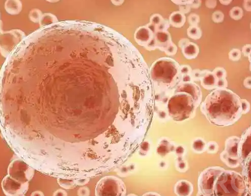 体重指数BMI超过多少会影响成功率？LRC给出减重建议