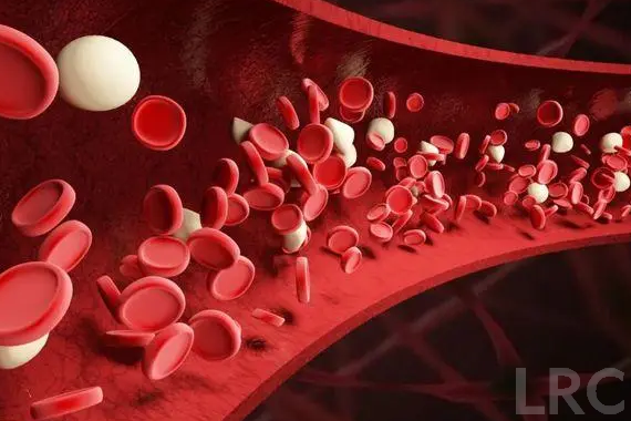 2026年去泰国LRC做三代试管,整体花费大概多少人民币?预算分级指南