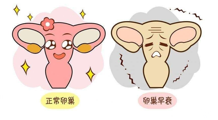 泰国三代试管冻胚移植费用大揭秘：一张清单让你彻底明白