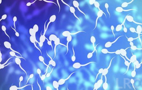 子宫肌瘤多次手术史患者的子宫瘢痕情况,在LRC移植流程中如何评估安全与成功率?