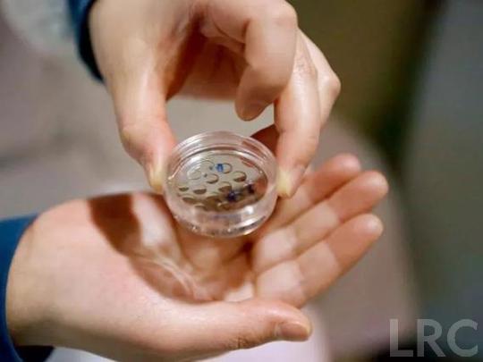 盘点泰国试管婴儿成功率最高的前十家医院！