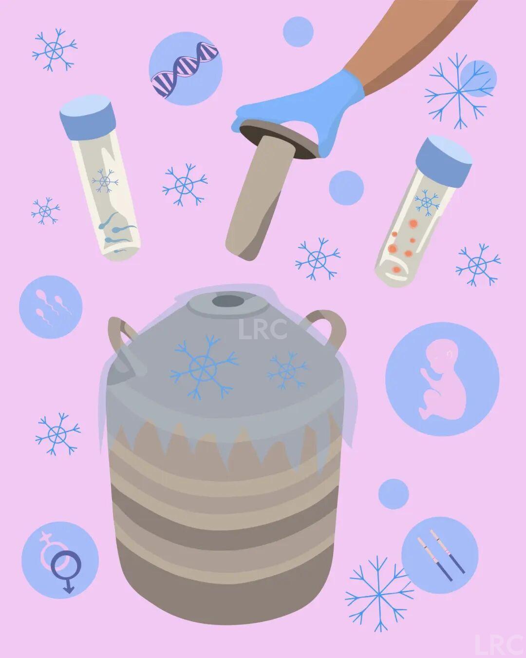 冻卵这件事,到底是在“未雨绸缪”还是“焦虑消费”?
